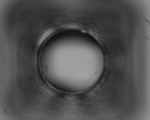 X0000093390199200710191200