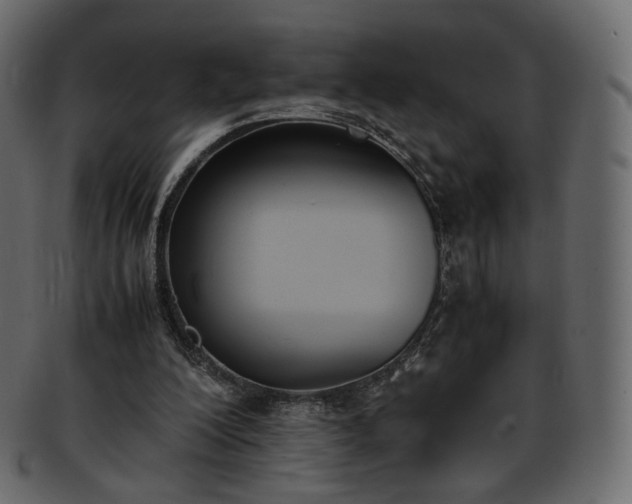 X0000093390200200710191200