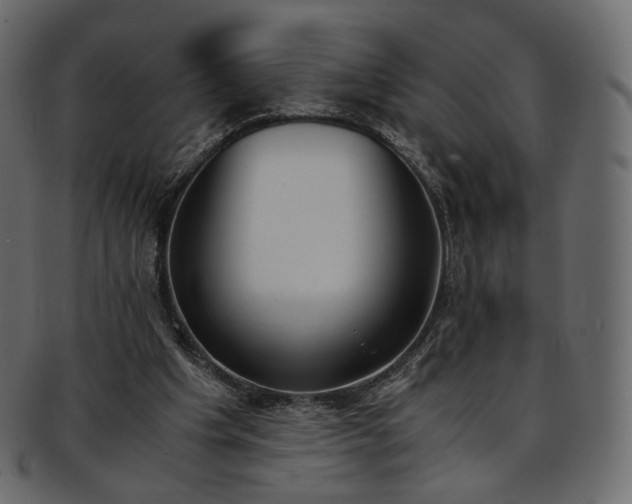 X0000093390201200710191200