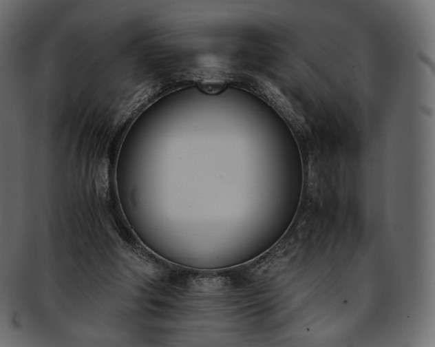 X0000093390202200710191200