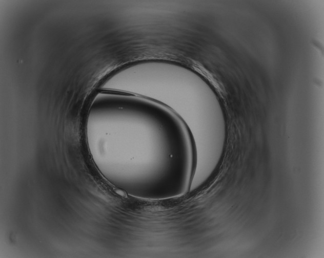 X0000093390203200710191200