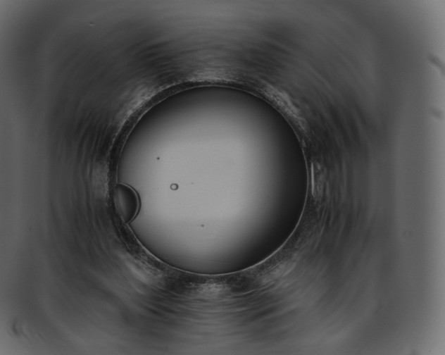 X0000093390204200710191200