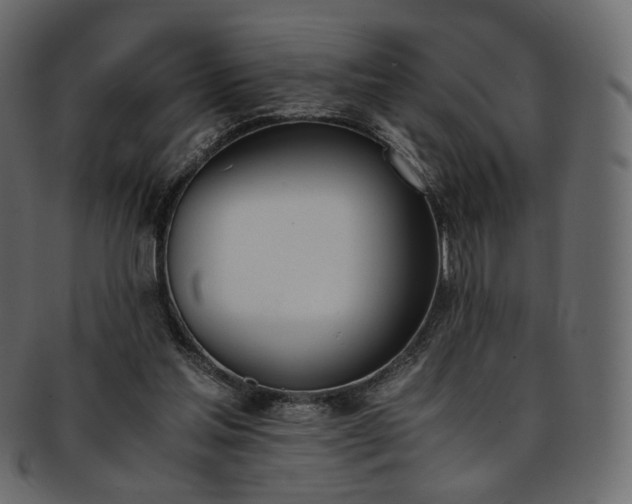 X0000093390205200710191200