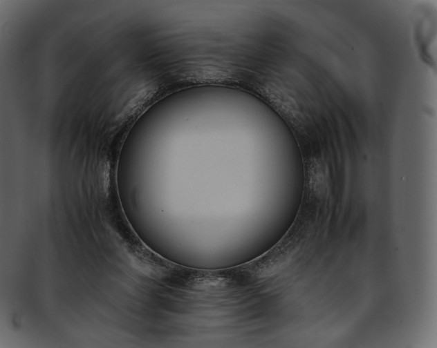 X0000093390206200710191200