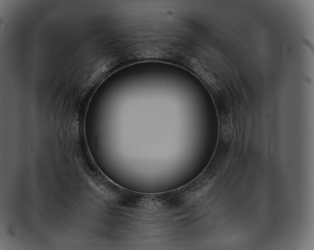 X0000093390207200710191200