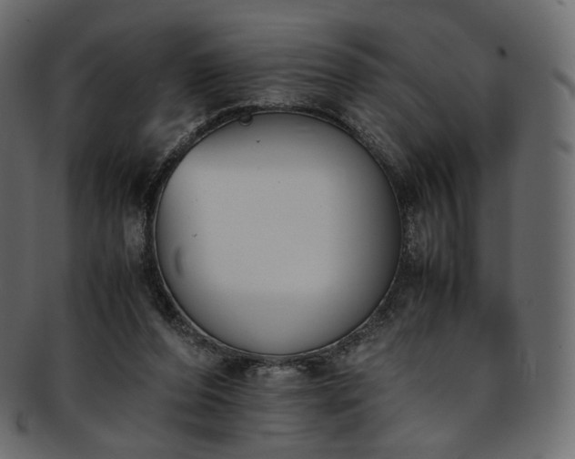 X0000093390208200710191200