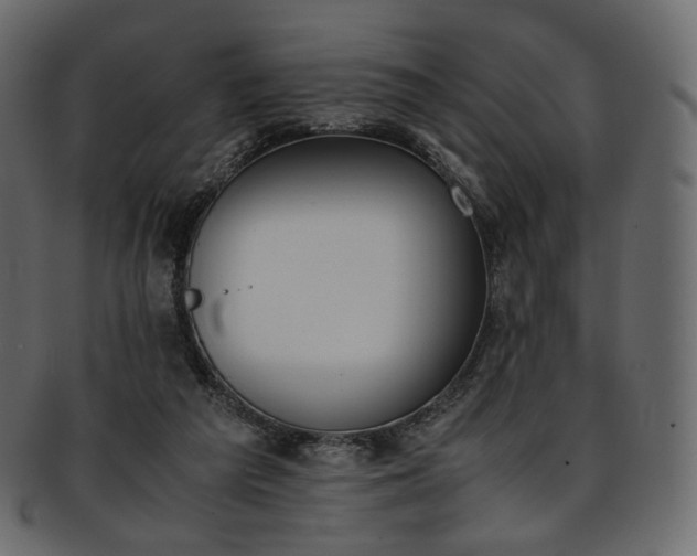 X0000093390209200710191200