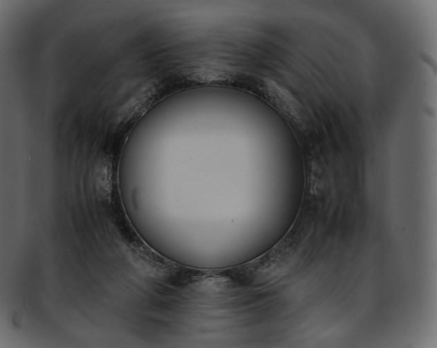 X0000093390210200710191200