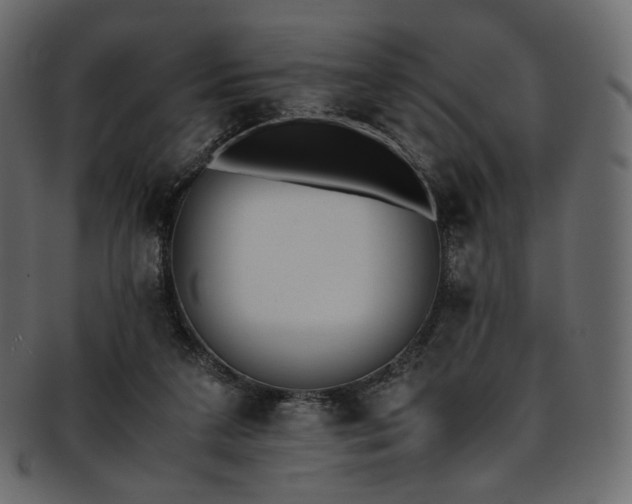 X0000093390211200710191200