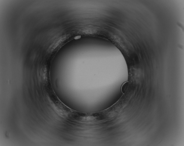 X0000093390212200710191200