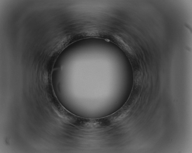 X0000093390213200710191200