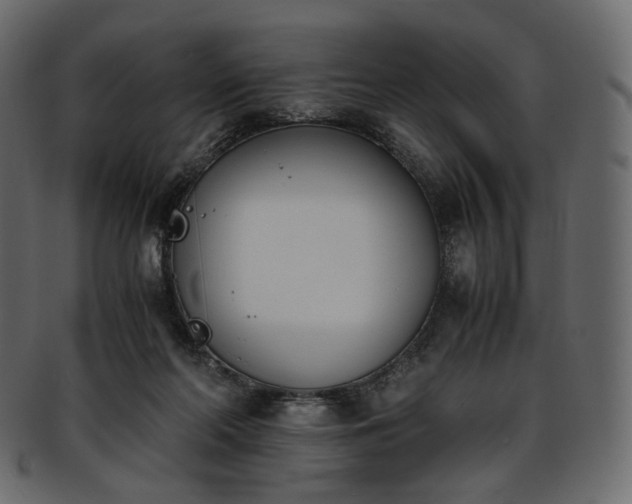 X0000093390214200710191200