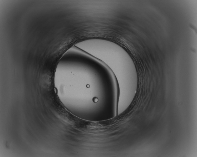 X0000093390215200710191200