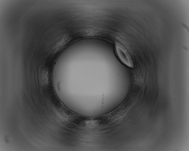 X0000093390216200710191200