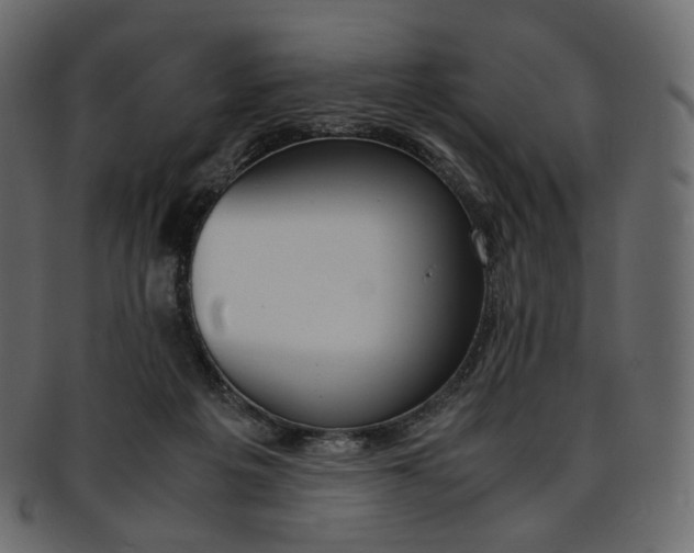 X0000093390217200710191200