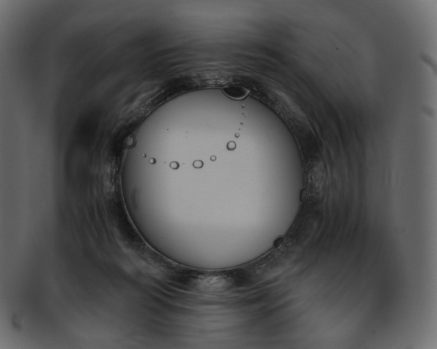 X0000093390218200710191200