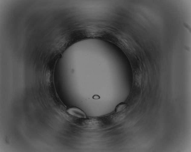 X0000093390219200710191200