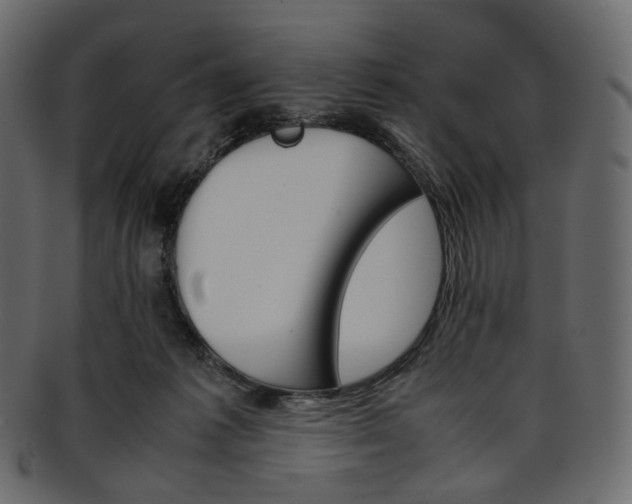 X0000093390221200710191200