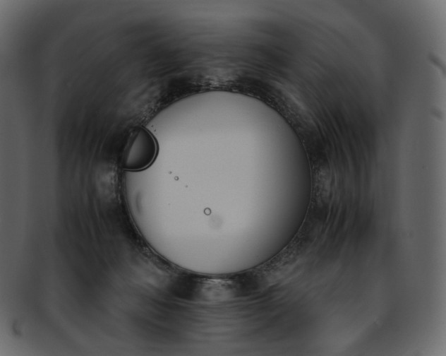 X0000093390222200710191200