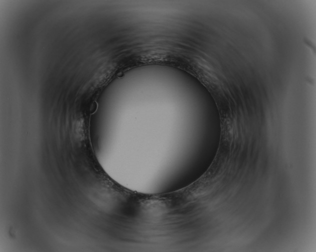 X0000093390224200710191200