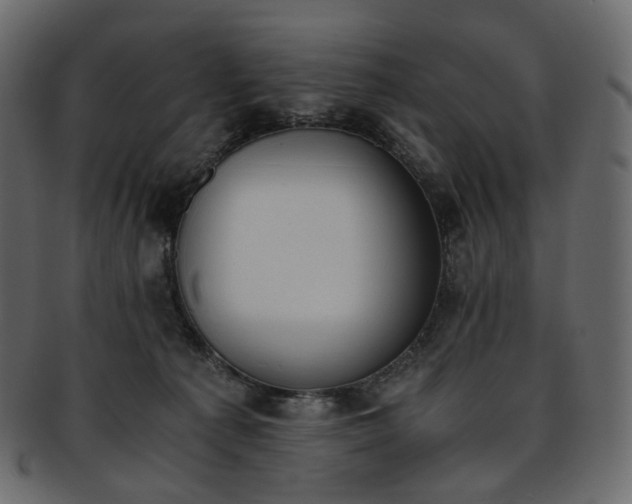 X0000093390225200710191200