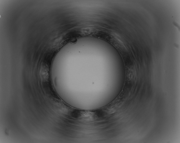 X0000093390226200710191200