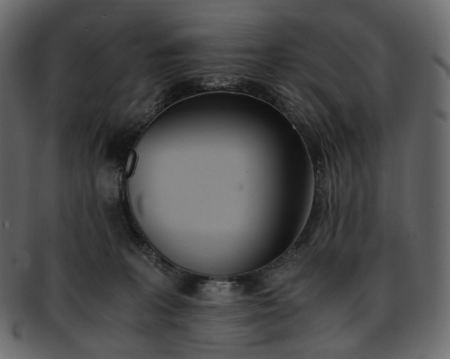 X0000093390227200710191200