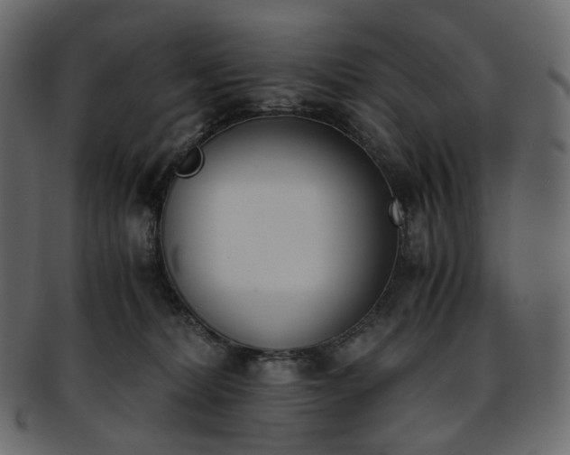 X0000093390228200710191200