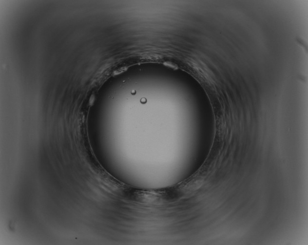 X0000093390229200710191200