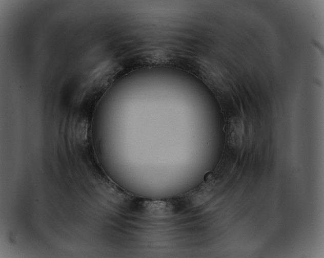 X0000093390230200710191200