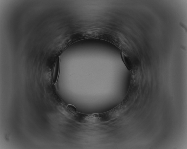 X0000093390231200710191200