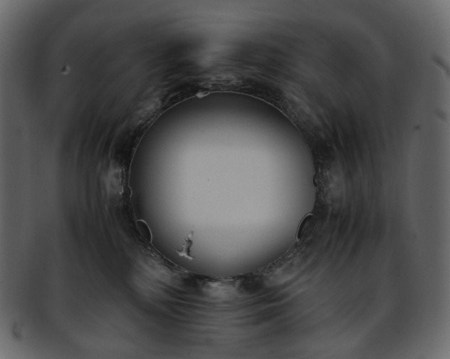 X0000093390232200710191200