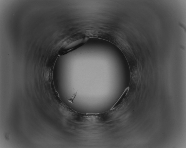 X0000093390233200710191200