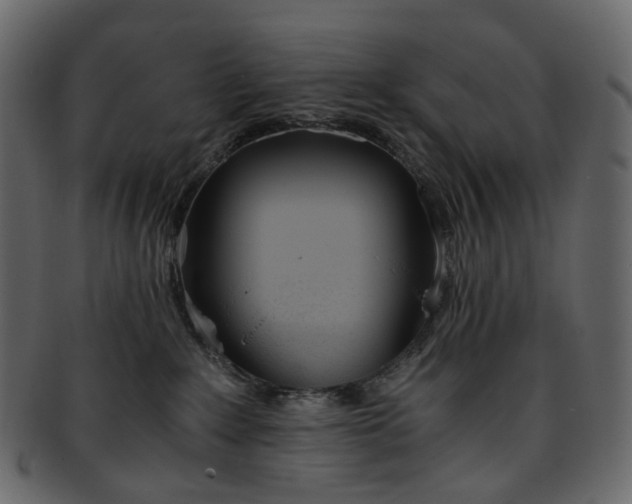 X0000093390235200710191200