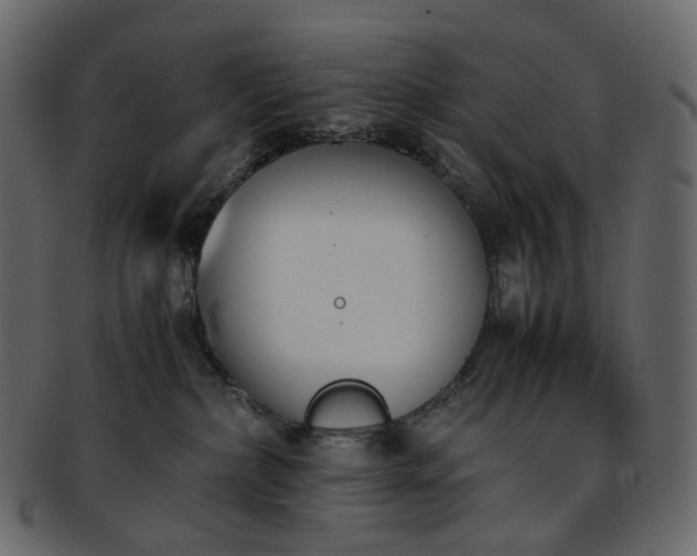 X0000093390236200710191200