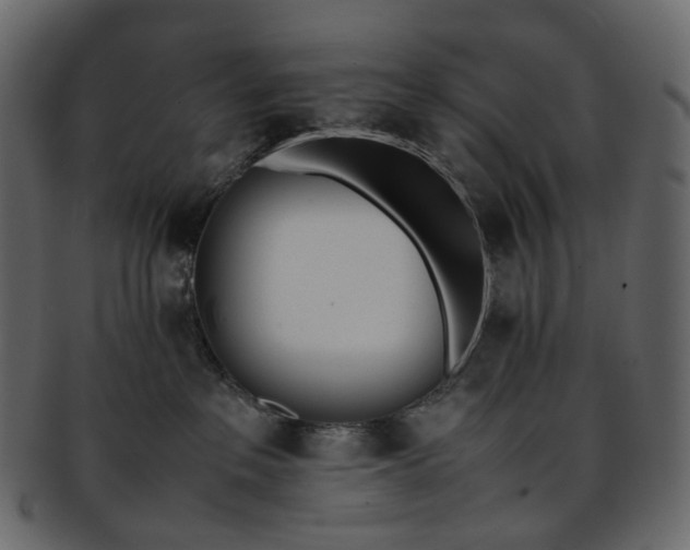 X0000093390237200710191200