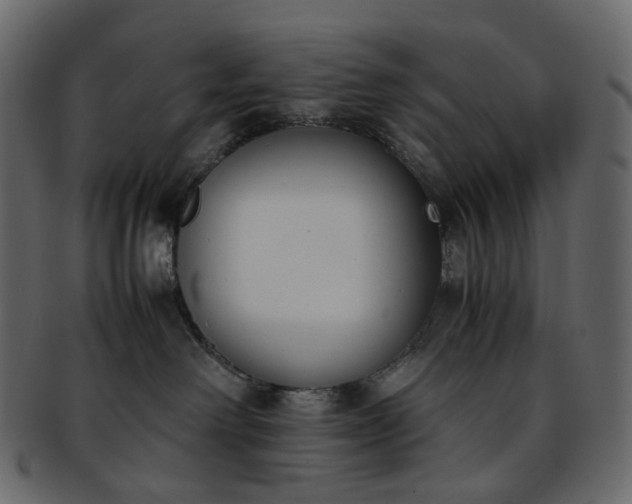 X0000093390238200710191200