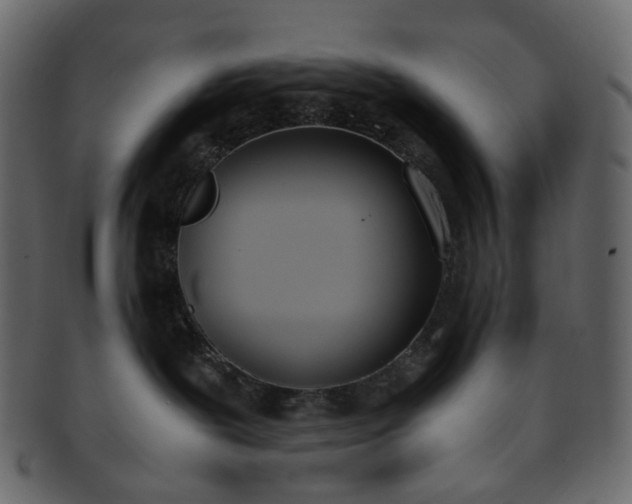 X0000093390239200710191200