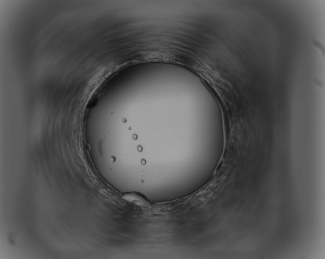 X0000093390241200710191159