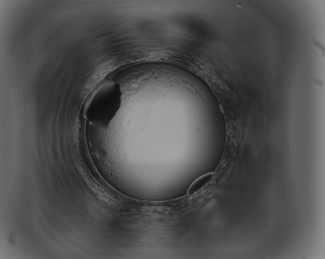 X0000093390242200710191159