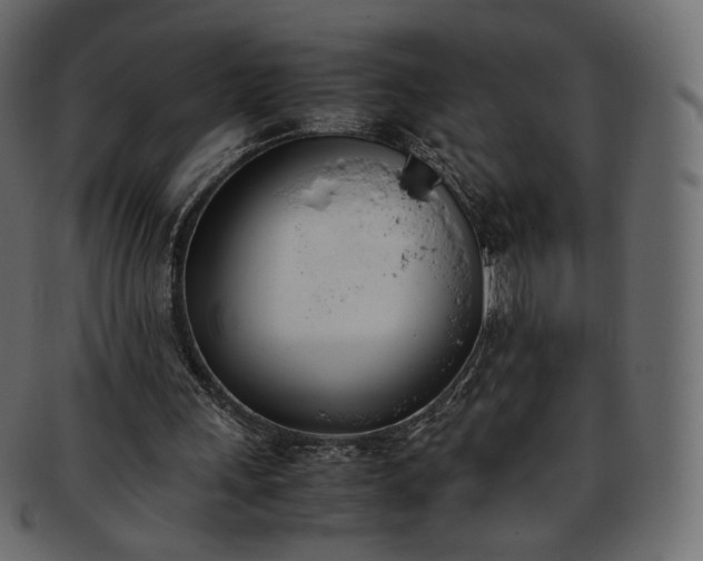 X0000093390243200710191159