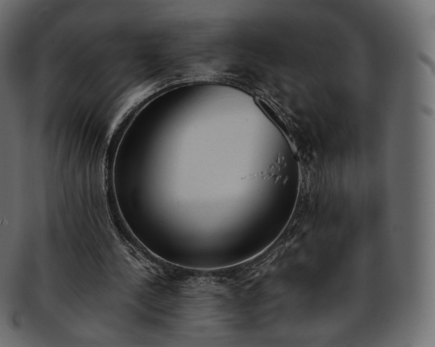 X0000093390244200710191159