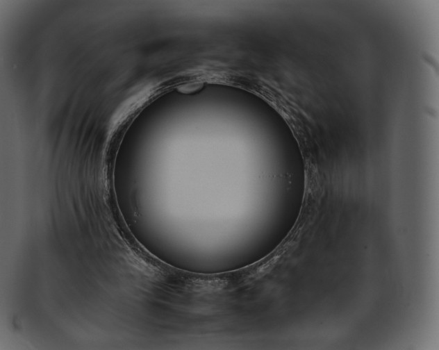 X0000093390245200710191159