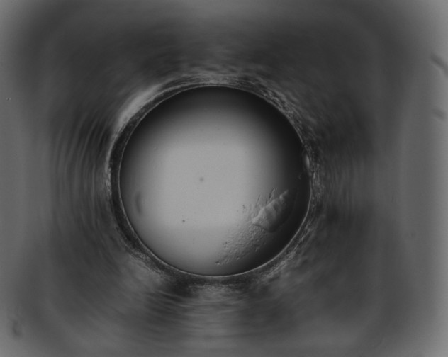 X0000093390246200710191159