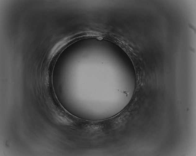 X0000093390247200710191159