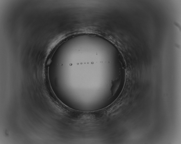 X0000093390248200710191159