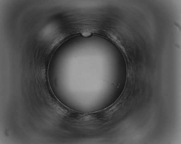 X0000093390249200710191159