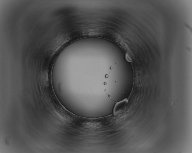 X0000093390251200710191159