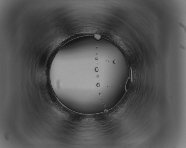 X0000093390252200710191159