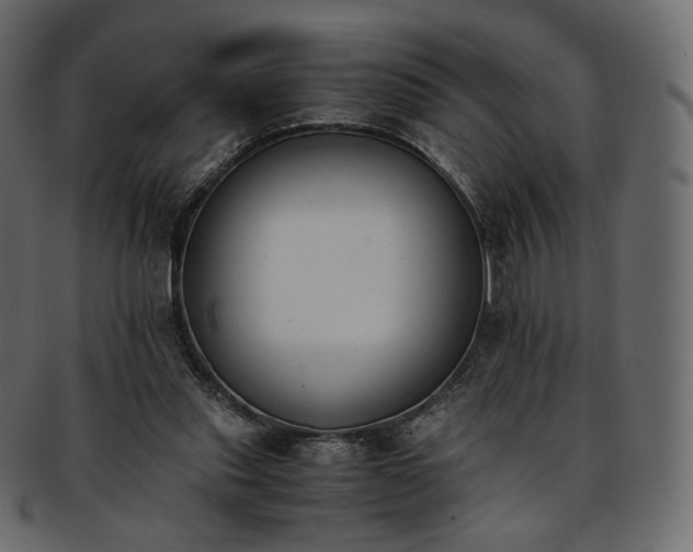 X0000093390253200710191159